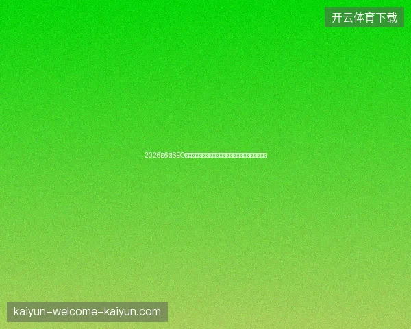 2026年6大SEO避坑指南：蜘蛛池蜜袋鼯、关键词选择与昆明排名优化
